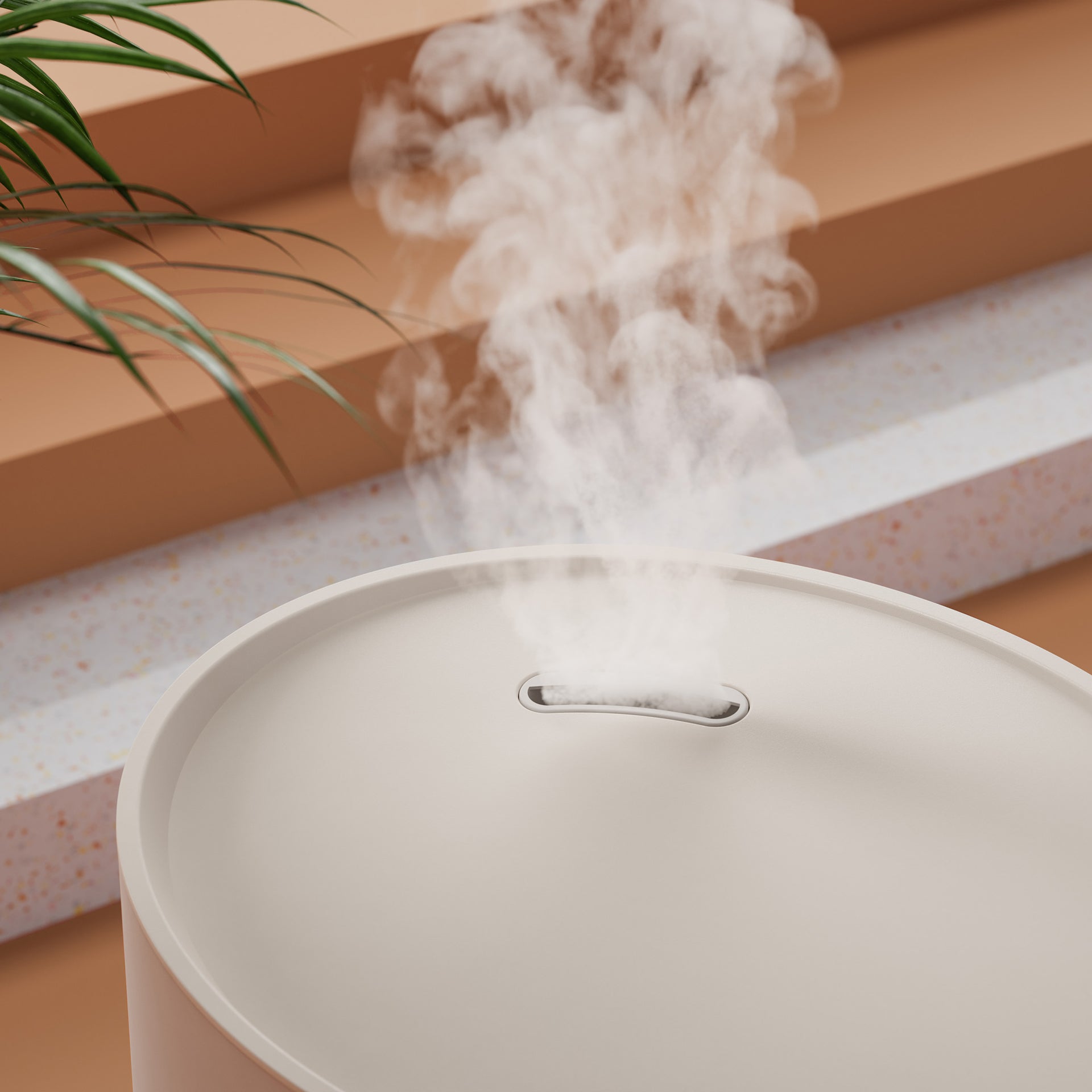 5 Tipps gegen trockene Luft zu Hause: So verbessern Sie die Luftfeuchtigkeit