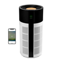 Tube Smart Air purifier Renewed